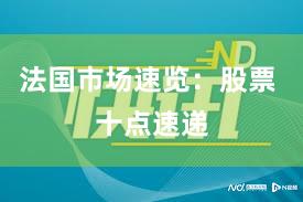 法国市场速览：股票 十点速递